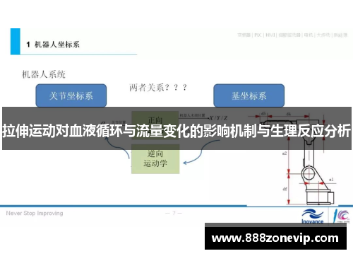 拉伸运动对血液循环与流量变化的影响机制与生理反应分析