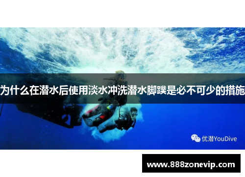 为什么在潜水后使用淡水冲洗潜水脚蹼是必不可少的措施