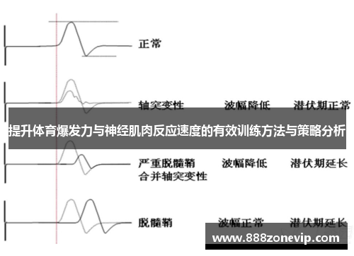 提升体育爆发力与神经肌肉反应速度的有效训练方法与策略分析